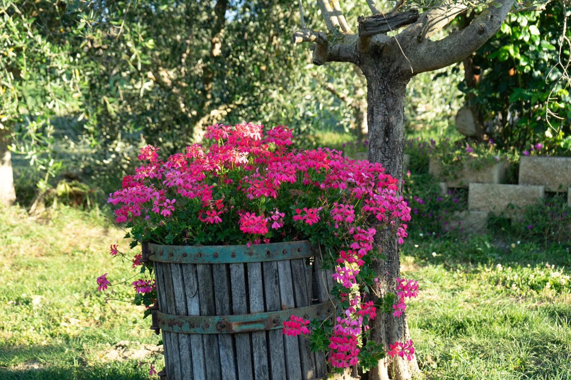 Relaxing Farmhouse San Marino Eksteriør bilde